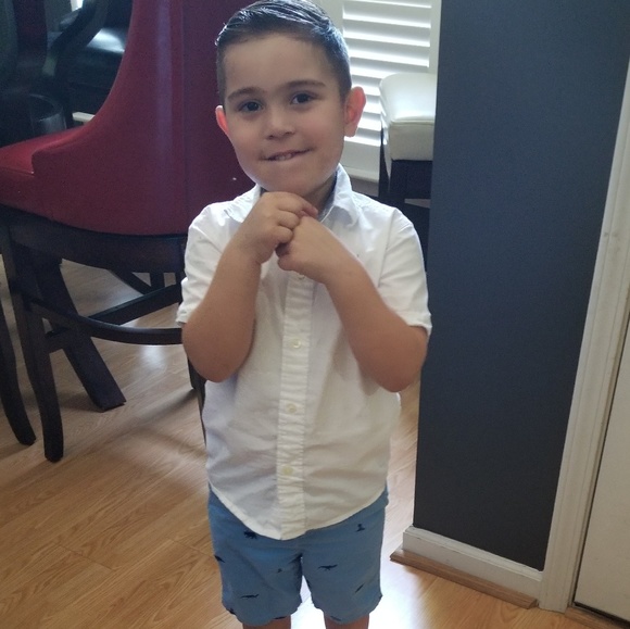 Meet your Posher, Paloma - Picture 5 of 8